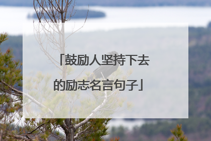 鼓励人坚持下去的励志名言句子