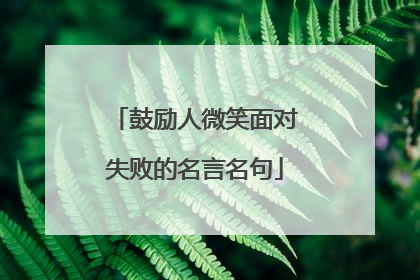 鼓励人微笑面对失败的名言名句