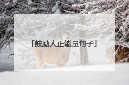 鼓励人正能量句子