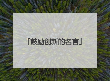 鼓励创新的名言