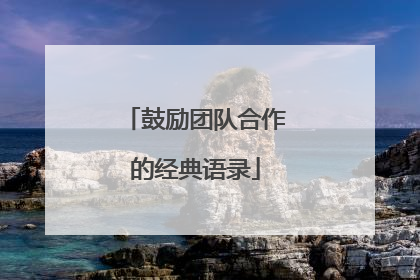鼓励团队合作的经典语录