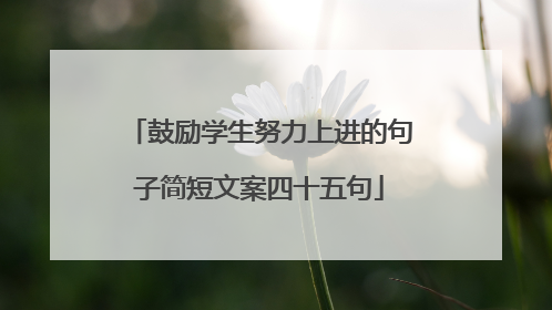 鼓励学生努力上进的句子简短文案四十五句