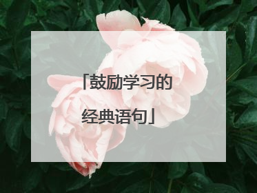 鼓励学习的经典语句