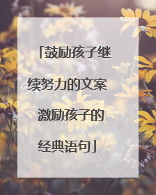 鼓励孩子继续努力的文案 激励孩子的经典语句