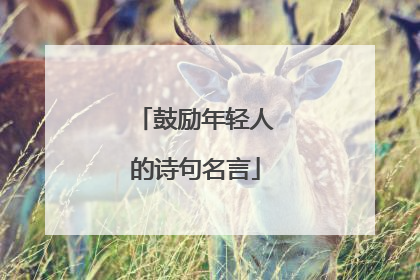 鼓励年轻人的诗句名言