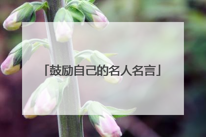 鼓励自己的名人名言