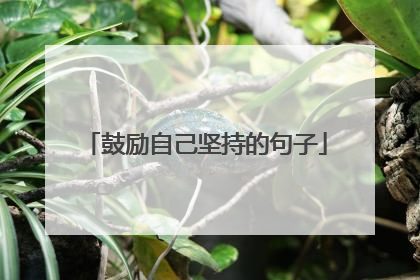 鼓励自己坚持的句子