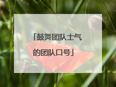 鼓舞团队士气的团队口号