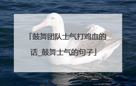 鼓舞团队士气打鸡血的话_鼓舞士气的句子