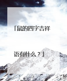 鼠的四字吉祥语有什么?