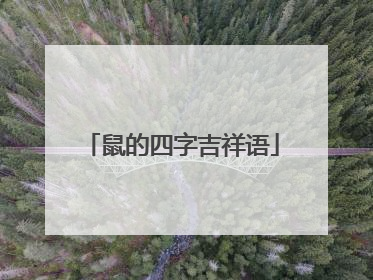 鼠的四字吉祥语