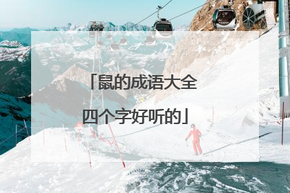 鼠的成语大全四个字好听的