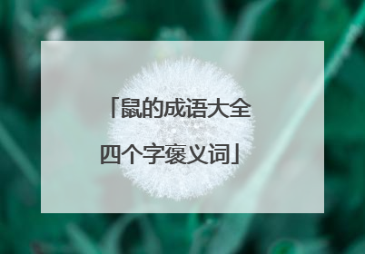 鼠的成语大全四个字褒义词