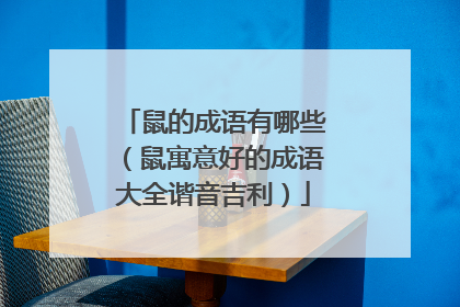 鼠的成语有哪些（鼠寓意好的成语大全谐音吉利）