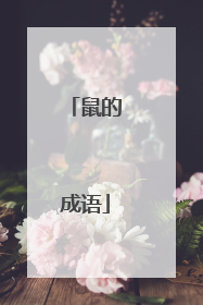 鼠的成语