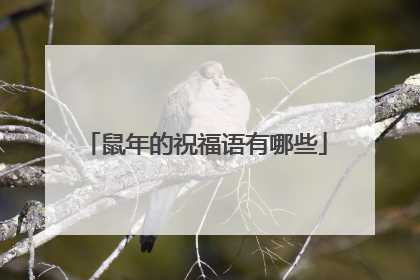 鼠年的祝福语有哪些