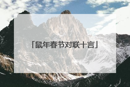 鼠年春节对联十言