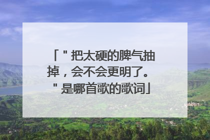＂把太硬的脾气抽掉，会不会更明了。＂是哪首歌的歌词