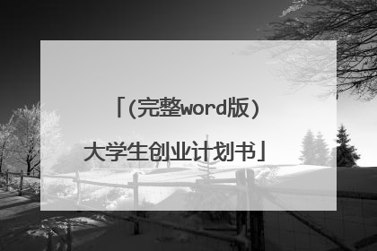 (完整word版)大学生创业计划书