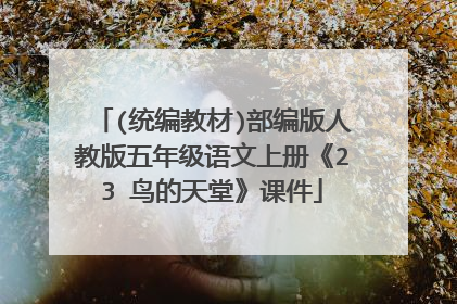 (统编教材)部编版人教版五年级语文上册《23 鸟的天堂》课件