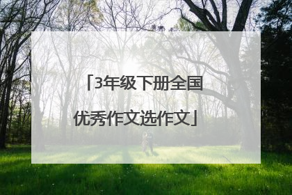 3年级下册全国优秀作文选作文