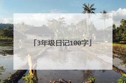 3年级日记100字