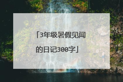 3年级暑假见闻的日记300字