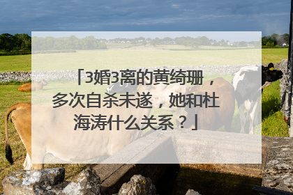 3婚3离的黄绮珊，多次自杀未遂，她和杜海涛什么关系？