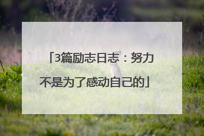 3篇励志日志:努力不是为了感动自己的
