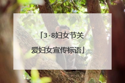 3·8妇女节关爱妇女宣传标语
