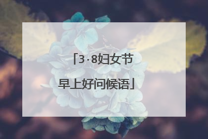 3·8妇女节早上好问候语