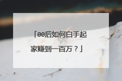 00后如何白手起家赚到一百万?