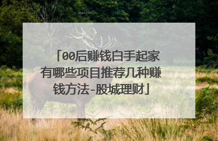 00后赚钱白手起家有哪些项目推荐几种赚钱方法-股城理财