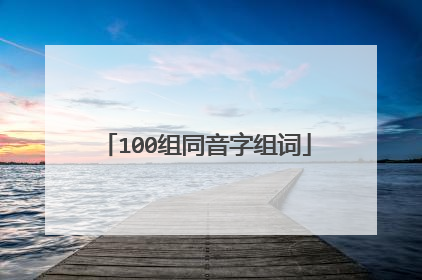 100组同音字组词