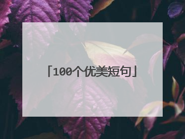100个优美短句