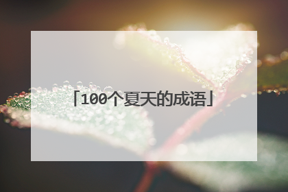 100个夏天的成语