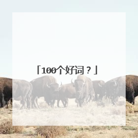 100个好词?