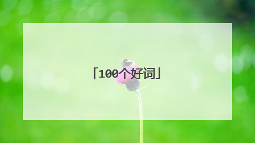 100个好词