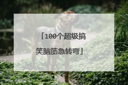 100个超级搞笑脑筋急转弯