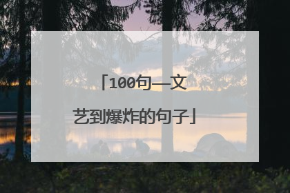 100句——文艺到爆炸的句子