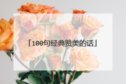 100句经典赞美的话