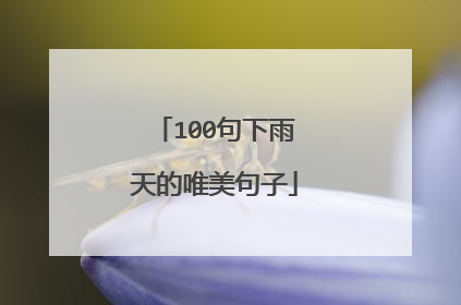 100句下雨天的唯美句子