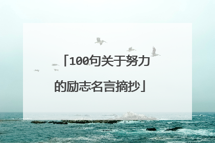 100句关于努力的励志名言摘抄