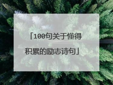 100句关于懂得积累的励志诗句
