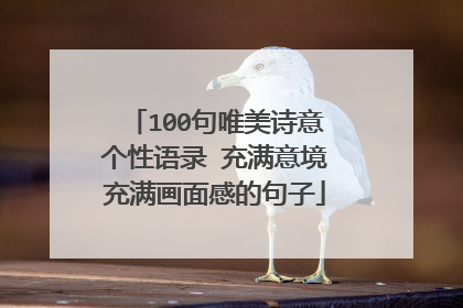 100句唯美诗意个性语录 充满意境充满画面感的句子