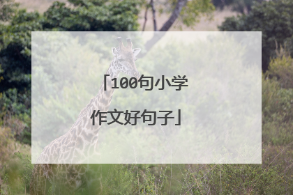 100句小学作文好句子