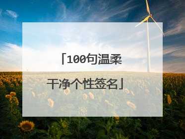 100句温柔干净个性签名