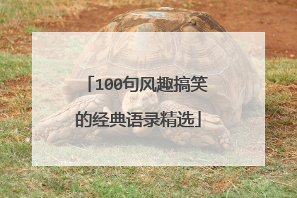 100句风趣搞笑的经典语录精选