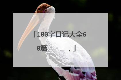 100字日记大全60篇     ，