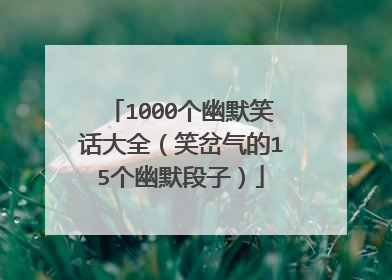 1000个幽默笑话大全(笑岔气的15个幽默段子)